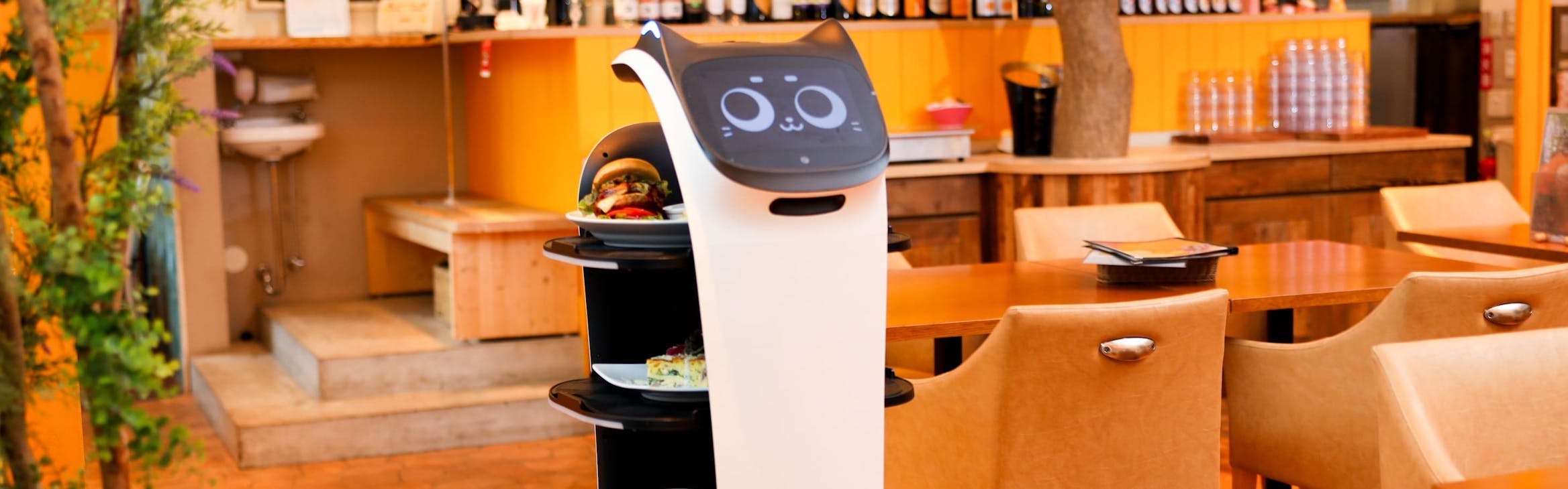 株式会社DFA Robotics - カバー画像
