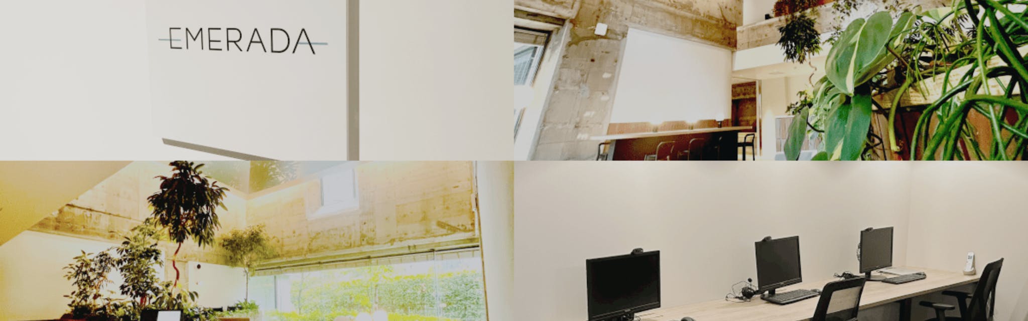 エメラダ株式会社 - カバー画像