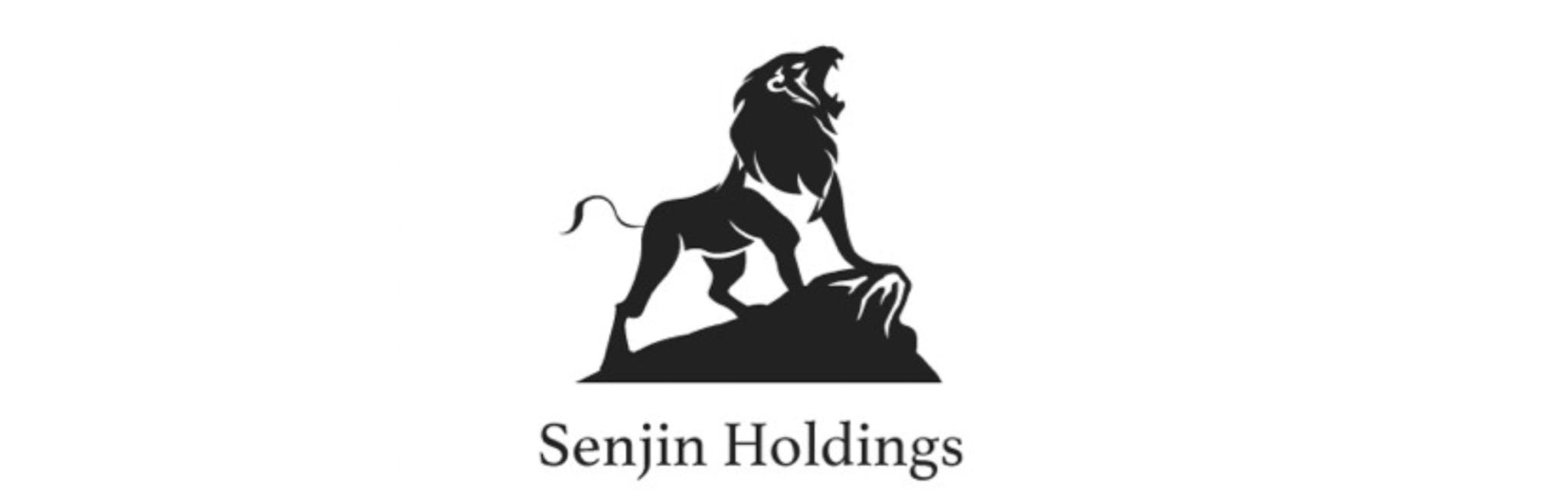 株式会社Senjin Holdings - カバー画像